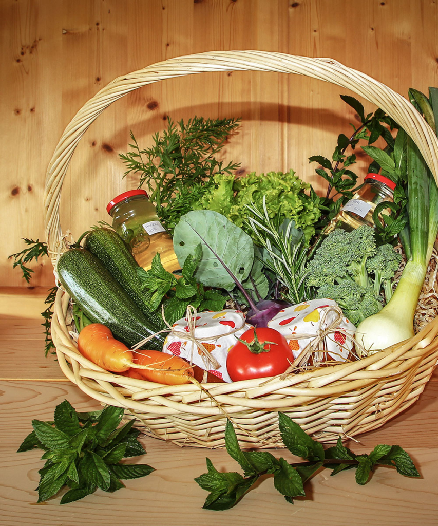 Vegetable garden